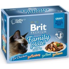   Brit Premium Cat Delicate Fillets in Gravy Family Plate 1020 g (12×85 g)