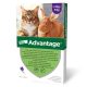 Advantage Spot-on pre mačky 0,8 ml (od 4 kg)  4x