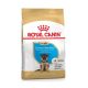 Royal Canin German Shepherd Puppy 3 kg krmivo pre psov