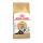 Royal Canin Persian Adult 4 kg