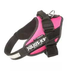 Julius-K9 IDC Powerpostroj, s nápisom, Baby 1 Pink