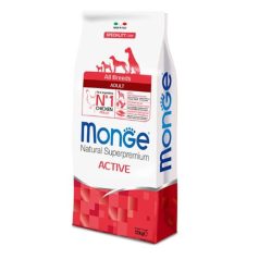 monge-dog-active