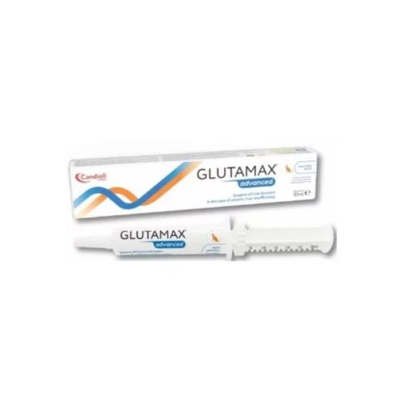 Glutamax Advanced pasta 30 ml