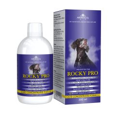 Arthrocol Rocky Pro 300ml