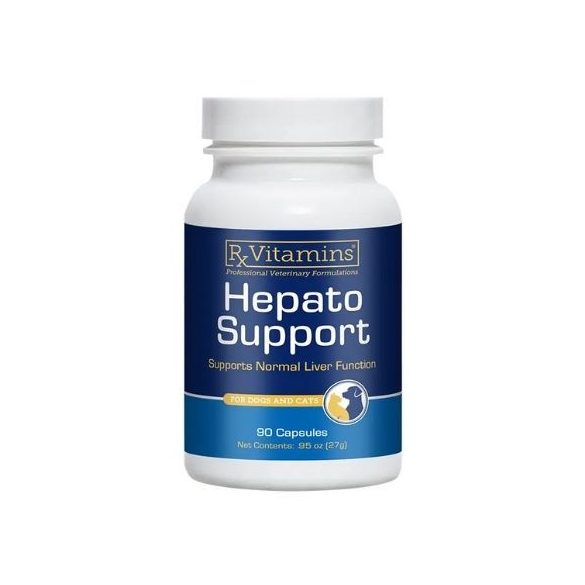 RX Hepato Support Kapsula