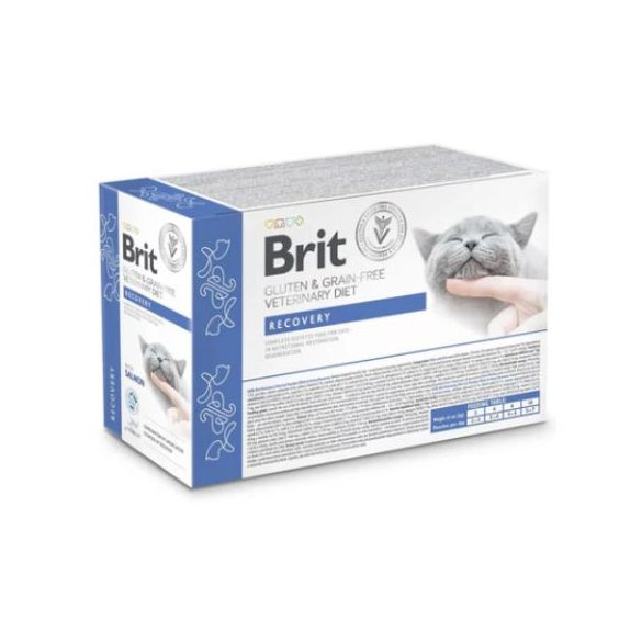 Brit Veterinary Diets Cat GF fillets in Gravy Recovery 12x85g