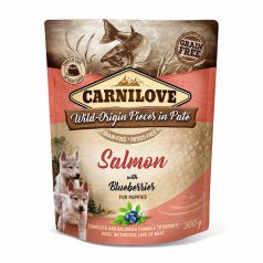 CarniLove Dog Puppy Salmon with Blueberries 300 g