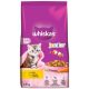 Whiskas Junior suché krmivo pre mačiatka s kuracím mäsom 1,4 kg