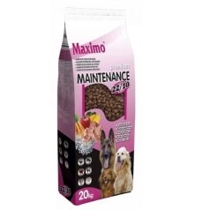 maximo-maintenance