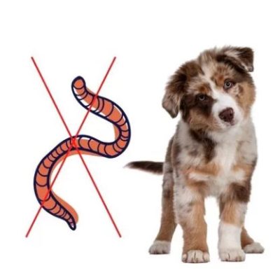Antiparazitiká pre psov