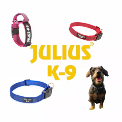 Julius k9 obojky