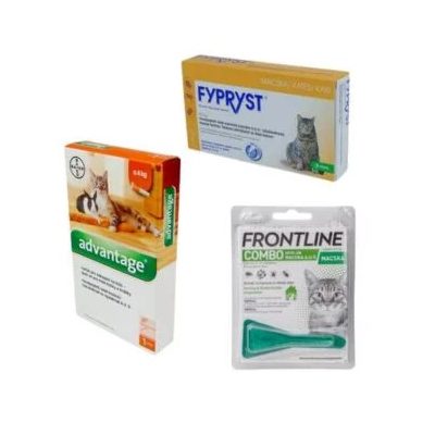 Blšie odpudzovače pre mačky