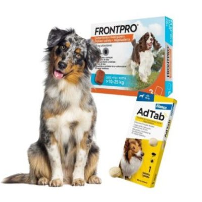 Tablety pre psov proti kliešťom a blchám