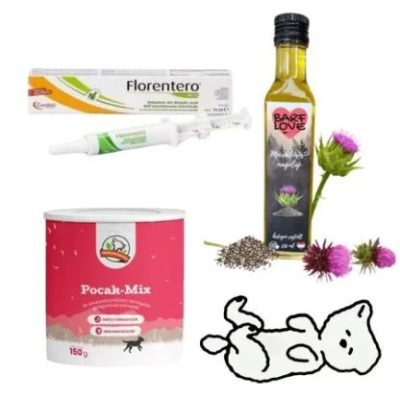 Trávenie - Žalúdočné problémy