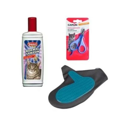 Starostlivosť o mačky