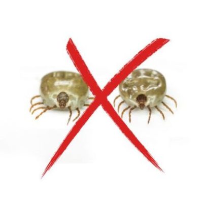 Najlepšie produkty proti kliešťom pre psov