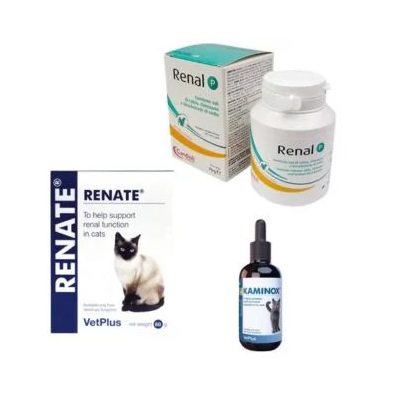 Poruchy obličiek, kamene v močových cestách