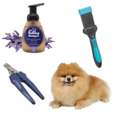 Starostlivosť o psa