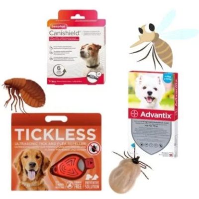 Antiparazitiká pre psov