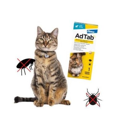 Tablety proti blchám pre mačky