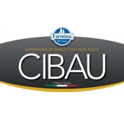 Cibau