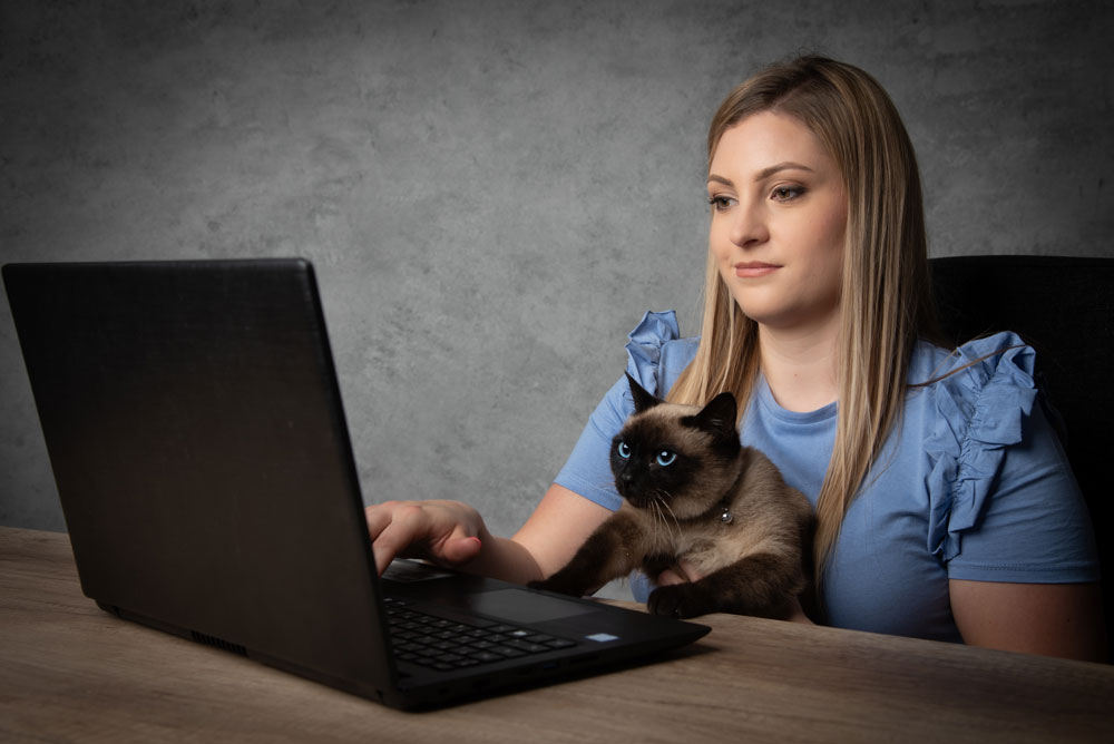 Modalități de plată