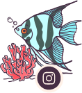 Instagram Fish